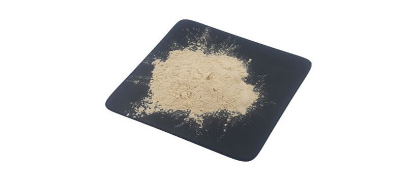 serratiopeptidase powder factory