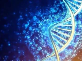 NMN puede convertirse en los 'elixires' de la humanidad