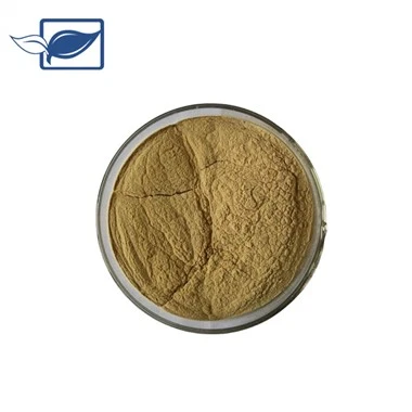 Polvo de extracto de Tongkat Ali